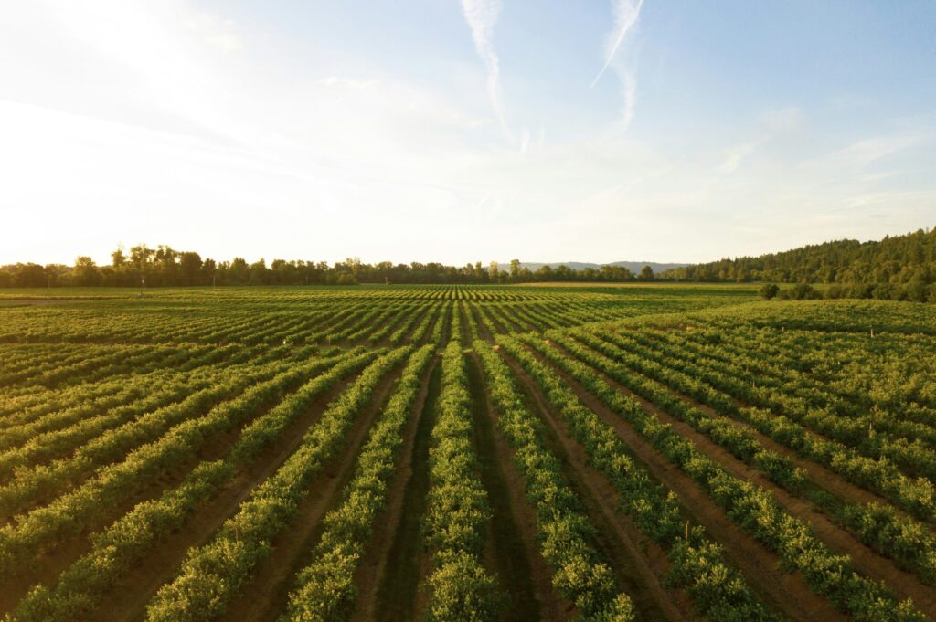 Présentation de notre agriculture