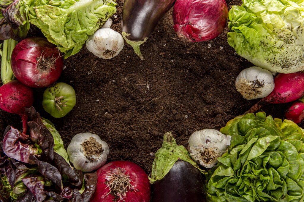 Potager de plusieurs légumes